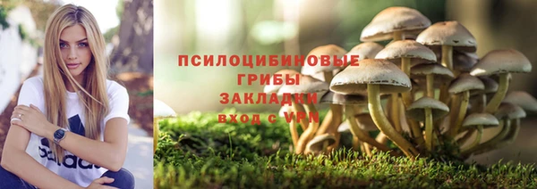 метадон Арсеньев