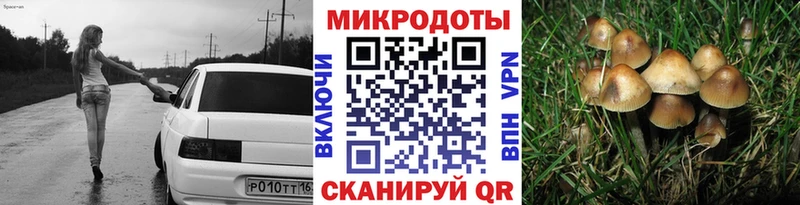 Галлюциногенные грибы Cubensis  Палласовка 
